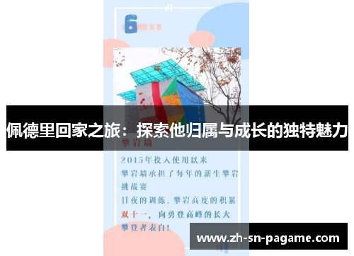 佩德里回家之旅：探索他归属与成长的独特魅力