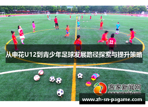 从申花U12到青少年足球发展路径探索与提升策略