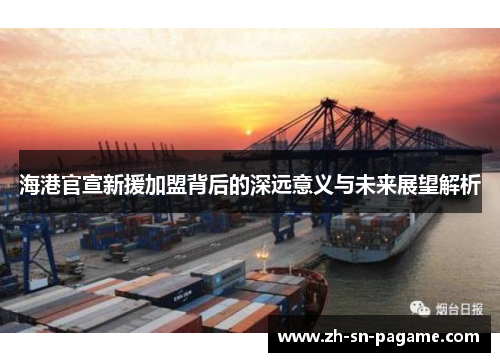 海港官宣新援加盟背后的深远意义与未来展望解析