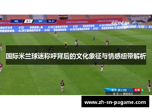 国际米兰球迷称呼背后的文化象征与情感纽带解析
