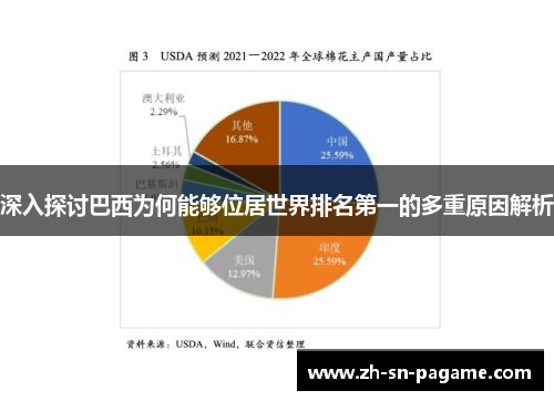 深入探讨巴西为何能够位居世界排名第一的多重原因解析