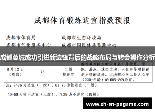 成都蓉城成功引进新边锋背后的战略布局与转会操作分析