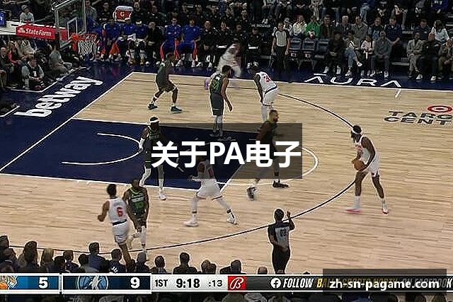 PA电子官方-游戏试玩|PLAYACE GAME